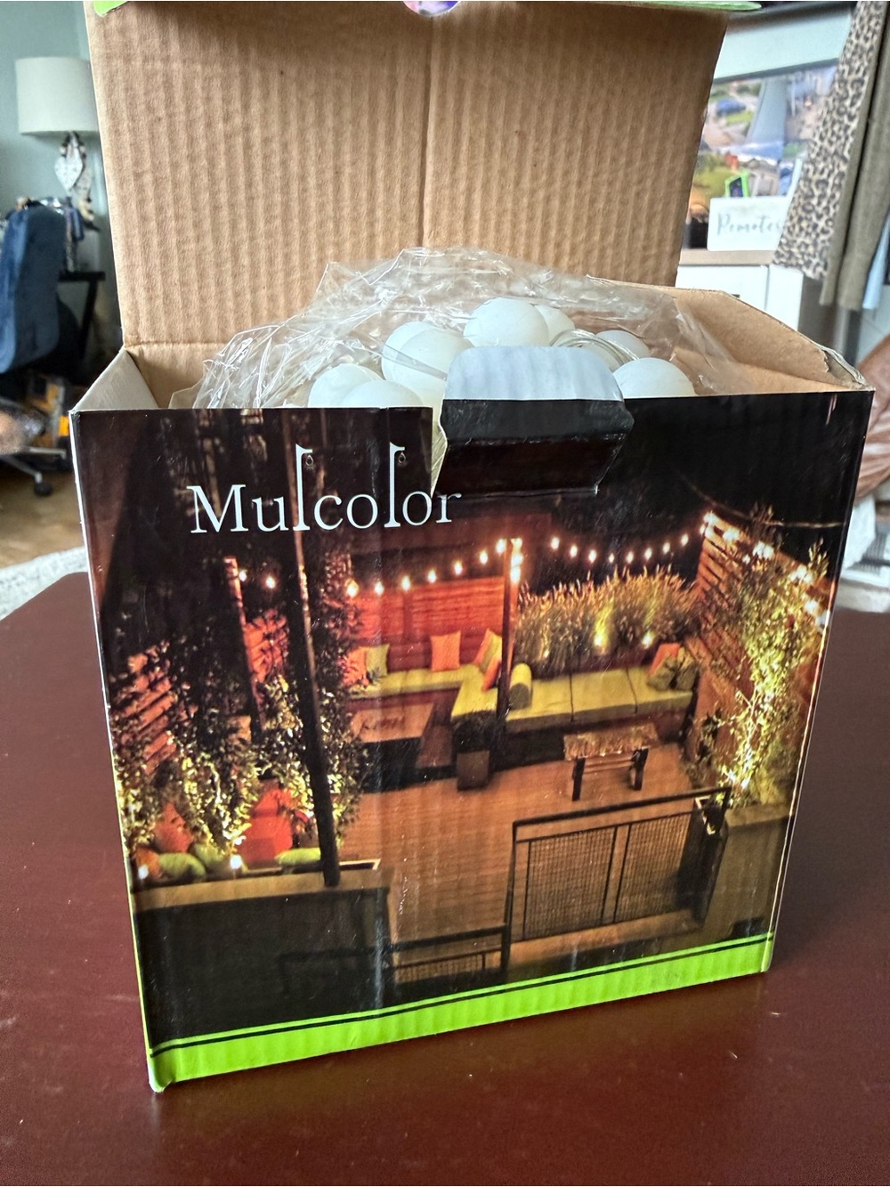 Globe Patio String Lights